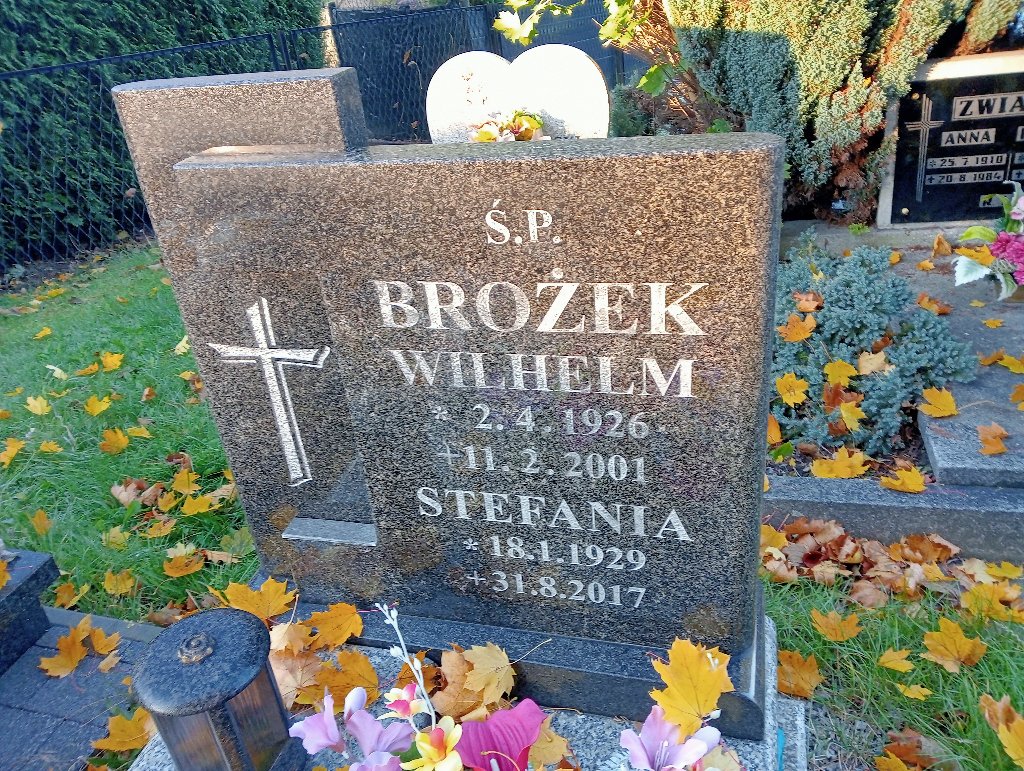 Grób Wilhelm Brożek